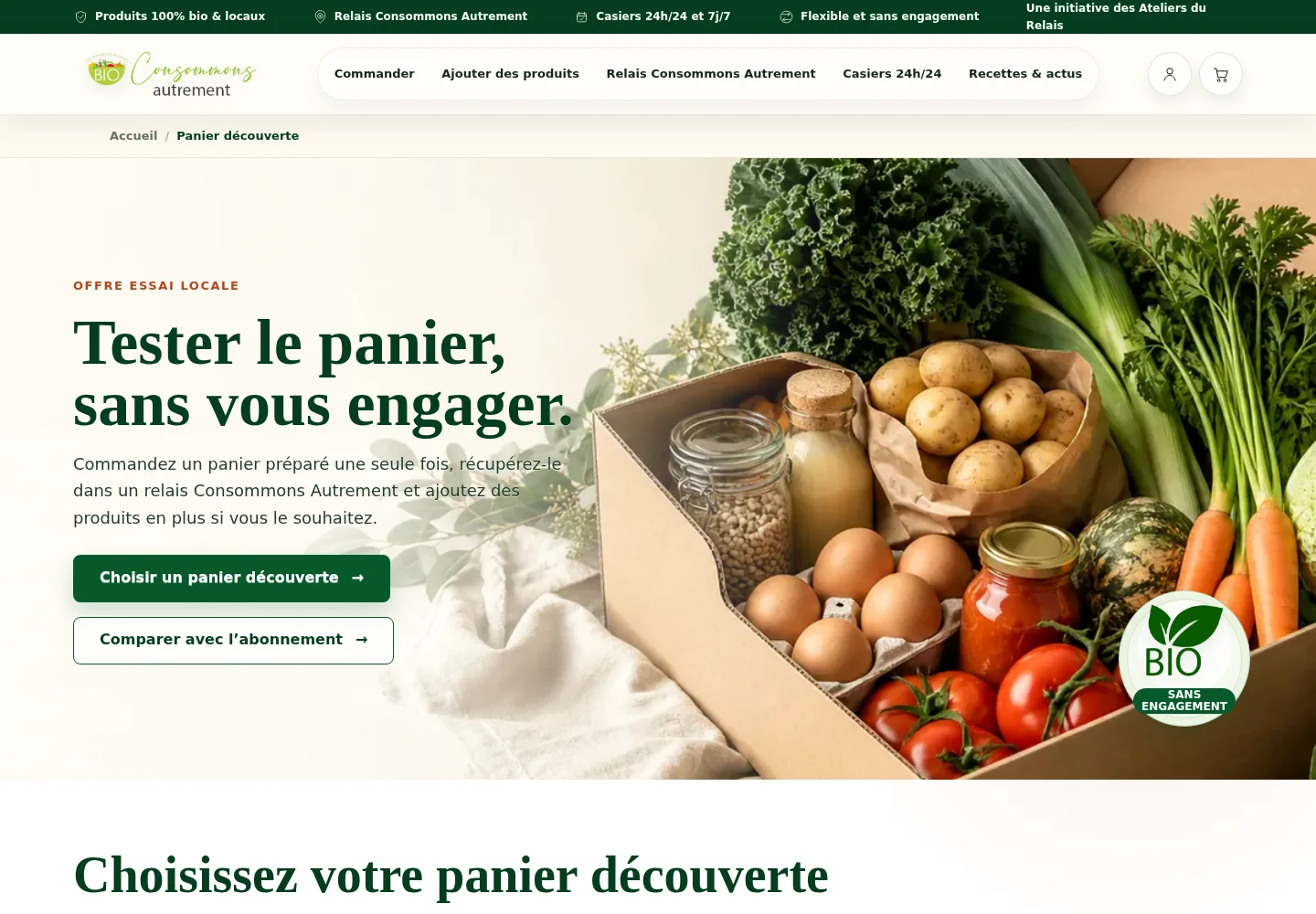 Aperçu d’une page du projet
