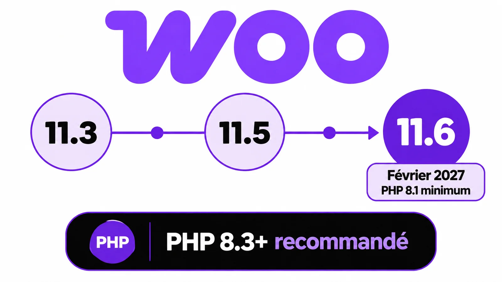 Boutique WooCommerce : préparer l’exigence PHP prévue en 2027